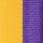 RY82-Purple & Gold